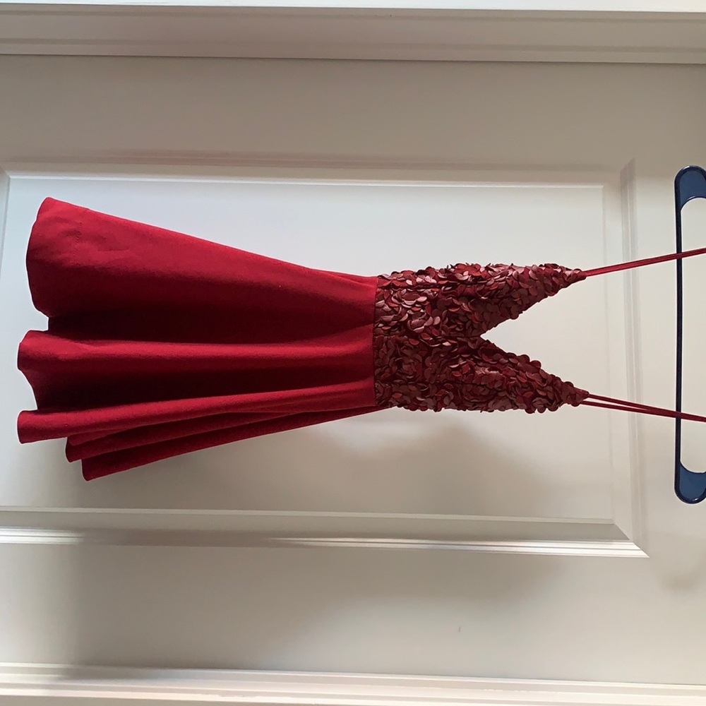 Beautiful red skater dress with intricate and unique floral on the top.